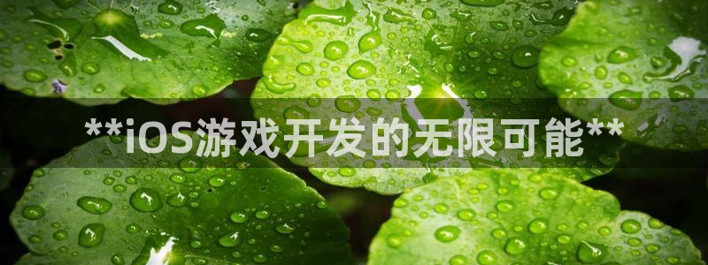 沐鸣娱乐2注册地址