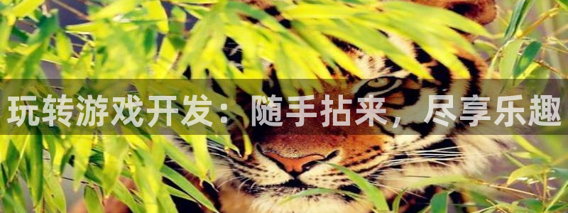 沐鸣2输钱能要回来吗
