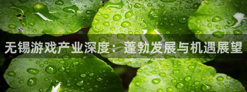 沐鸣2官网注册地址