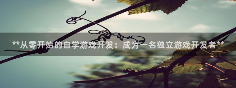 沐鸣娱乐2代理