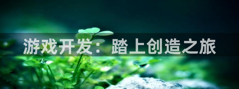 沐鸣娱乐2手机版