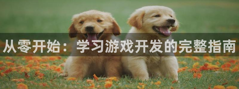 沐鸣2登陆扣27337：从零开始：学习游戏开发的完整指南