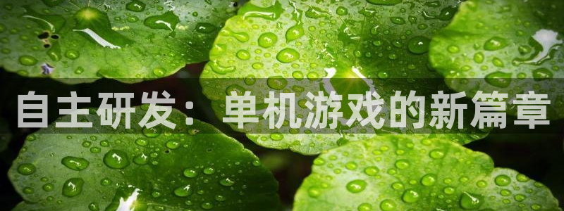 沐鸣2平台招商：自主研发：单机游戏的新篇章