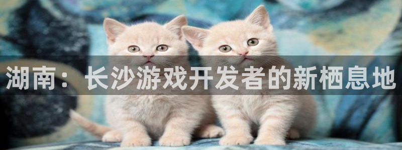 沐鸣娱乐2官网：湖南：长沙游戏开发者的新栖息地