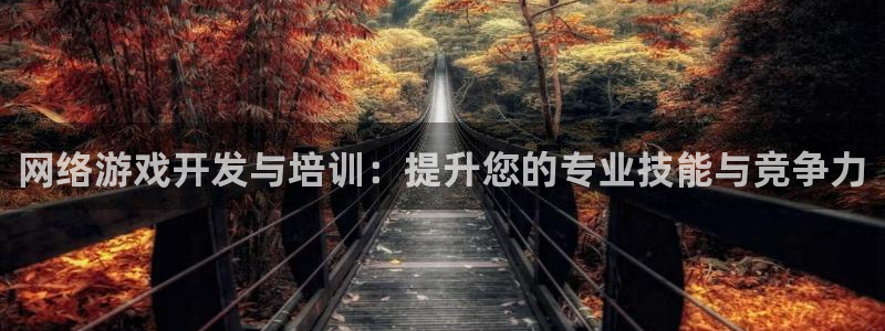 沐鸣2注册登陆：网络游戏开发与培训：提升您的专业技能与竞争力