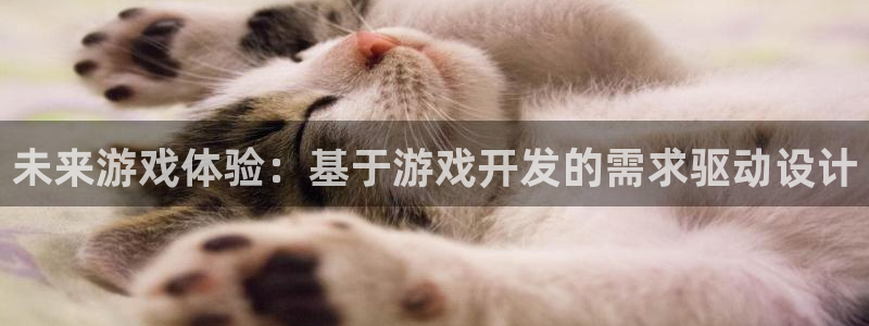 沐鸣娱乐2是干嘛的：未来游戏体验：基于游戏开发的需求驱动设计