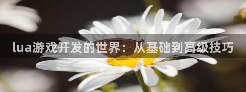 首页沐鸣2注册官网：lua游戏开发的世界：从基础到高级技巧