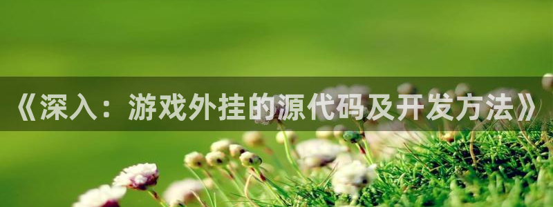 沐鸣娱乐2官方：《深入：游戏外挂的源代码及开发方法》