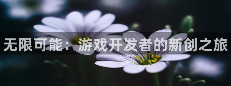 沐鸣2娱乐注册登录平台：无限可能：游戏开发者的新创之旅