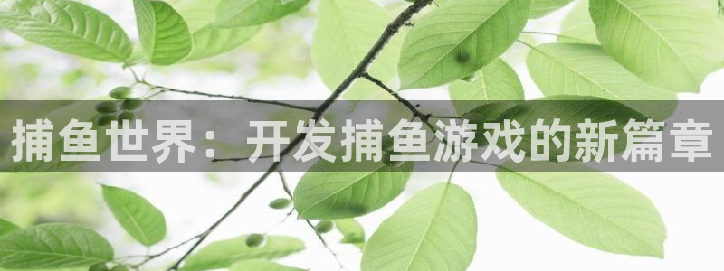 沐鸣2娱乐平台注册：捕鱼世界：开发捕鱼游戏的新篇章