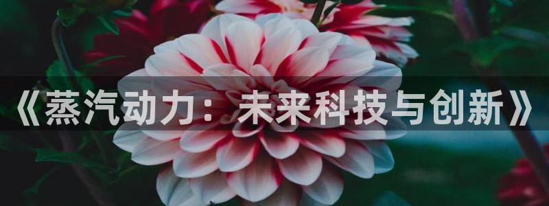 沐鸣2购35994胀：《蒸汽动力：未来科技与创新》