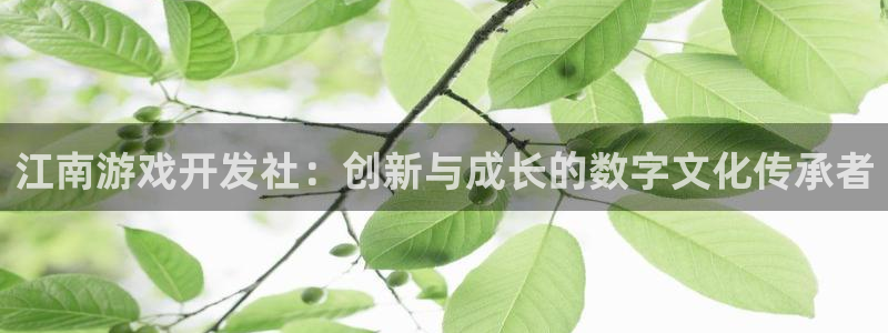 沐鸣2娱乐注册平台：江南游戏开发社：创新与成长的数字文化传承者