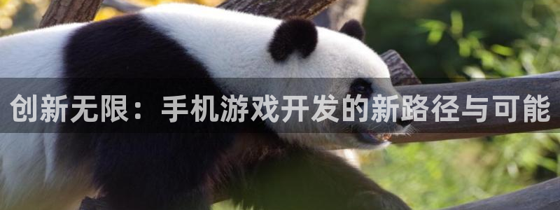 沐鸣2平台官网登录：创新无限：手机游戏开发的新路径与可能
