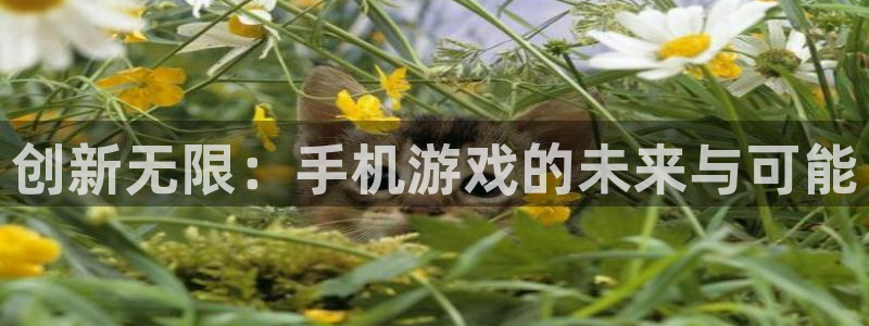 沐鸣娱乐2是正规平台么吗
