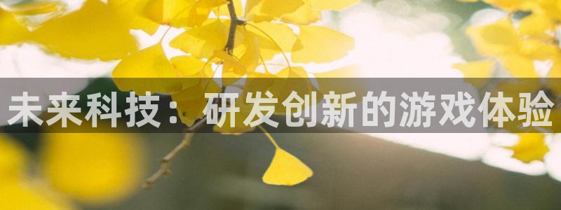 沐鸣娱乐2游戏说明