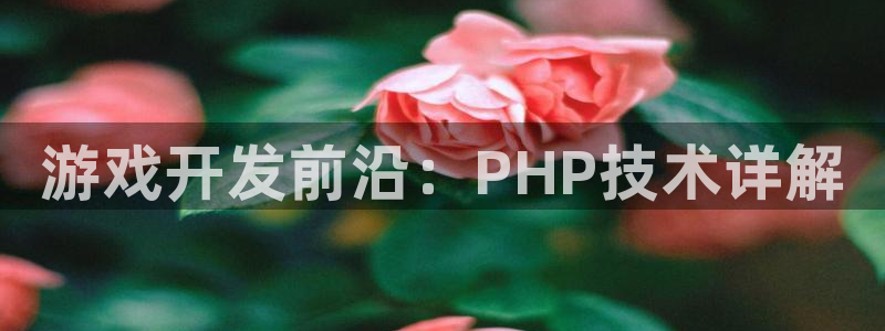 沐鸣2官网：游戏开发前沿：PHP技术详解